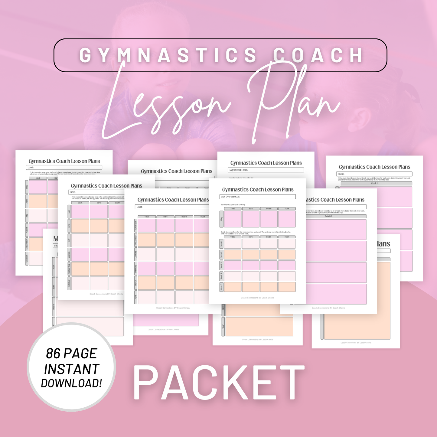 Lesson Planning Packet - Pink