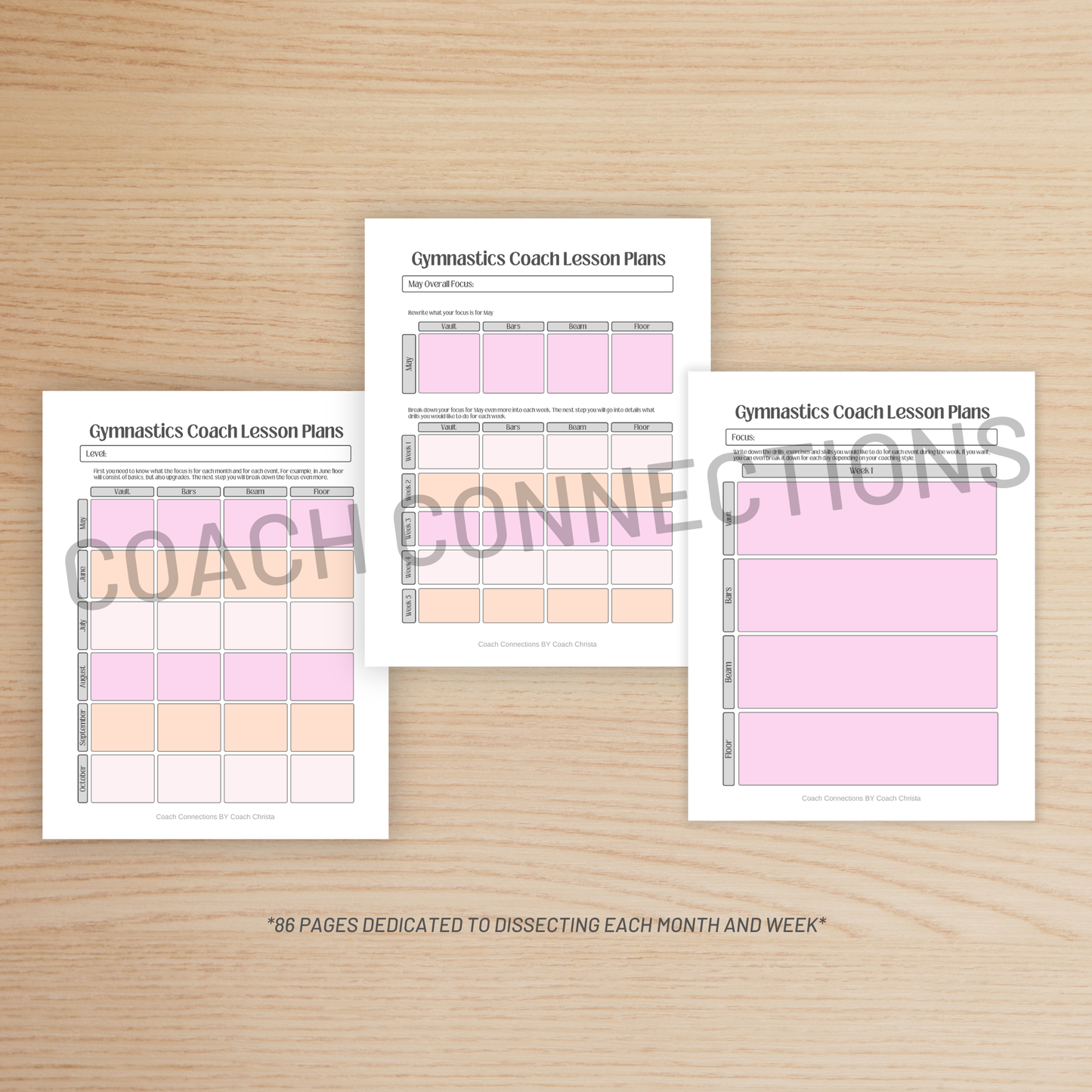 Lesson Planning Packet - Pink